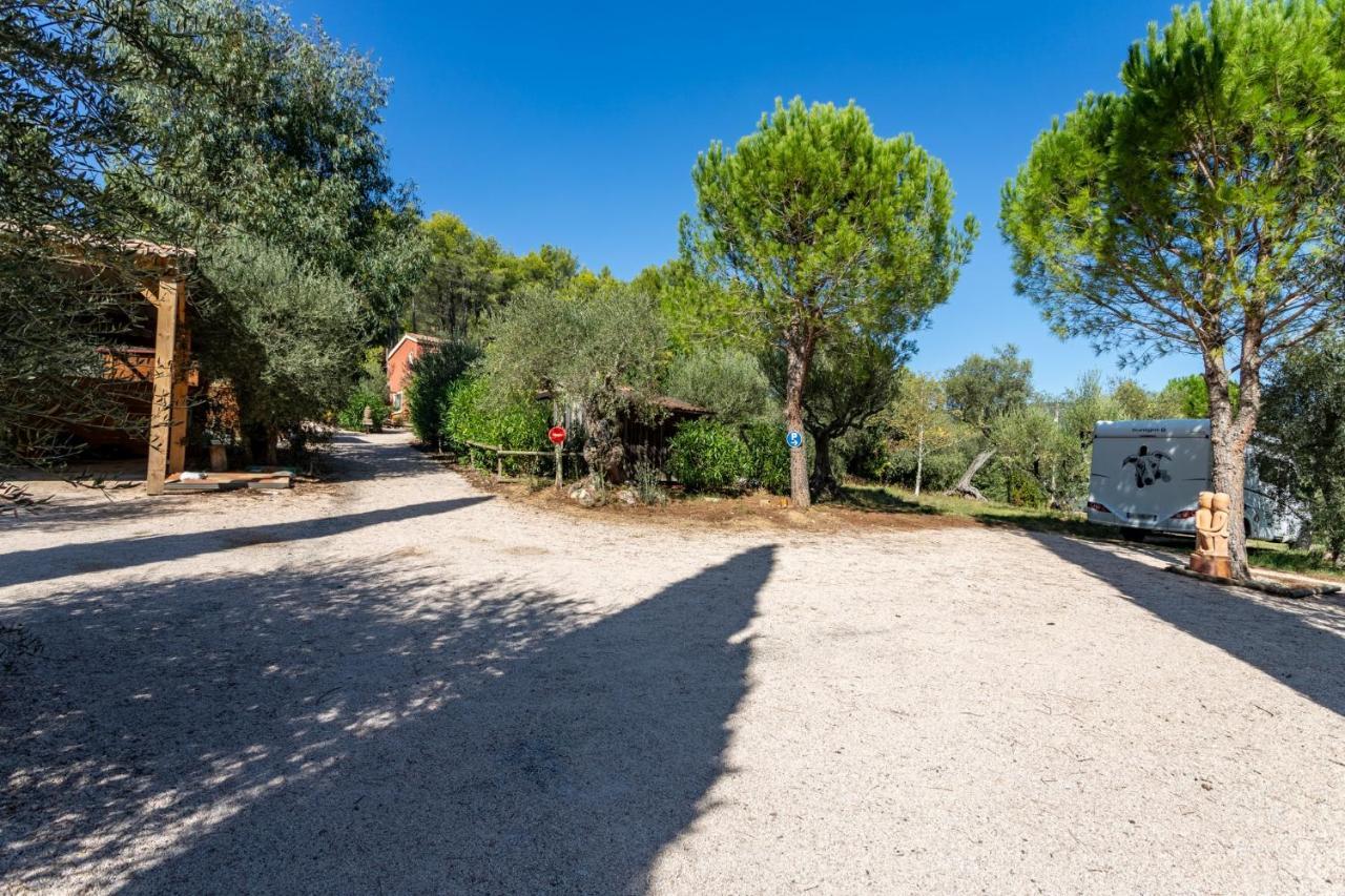 Gite L'Instant - Au Coeur D'Une Oliveraie Belgentier Exterior foto